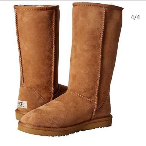 ugg 5815 ugg 5815